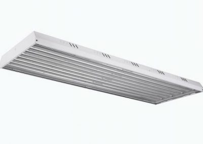 Lime Linear 150w